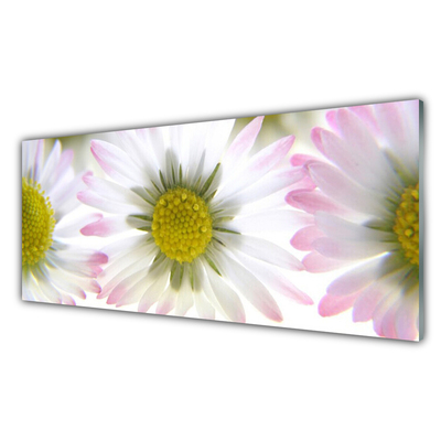 Tablouri acrilice Daisy Floral Verde Gri Alb