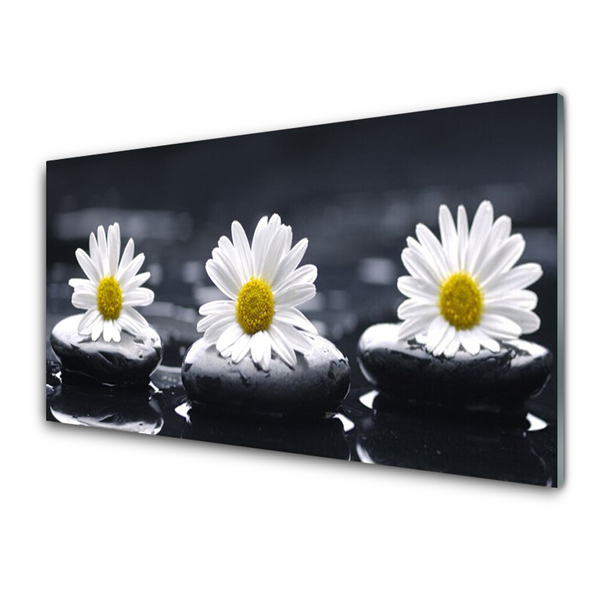 Tablouri acrilice Daisy pietre Floral Galben Alb Negru