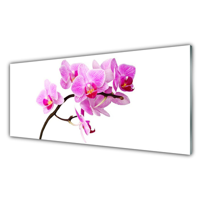Tablouri acrilice Flori Floral Roz Maro