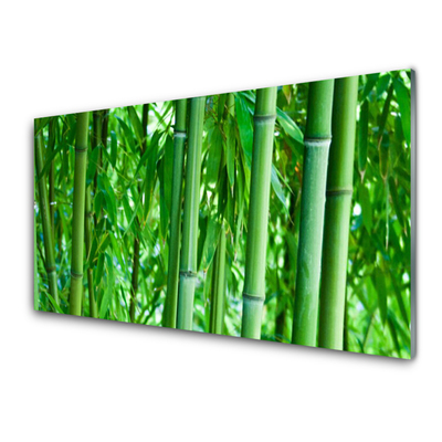 Tablouri acrilice Bamboo Peduncul Floral Verde