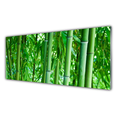 Tablouri acrilice Bamboo Peduncul Floral Verde