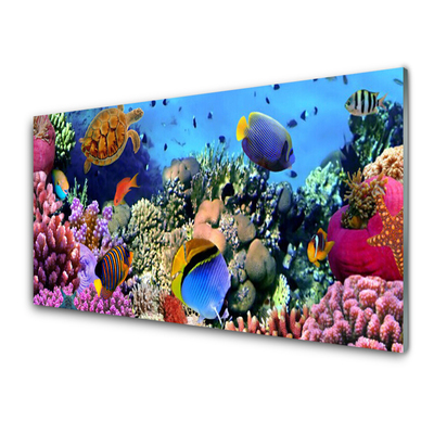 Tablouri acrilice Coral Reef Natura Multi