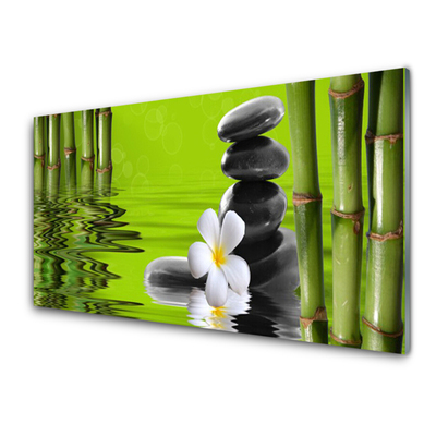 Tablouri acrilice Bamboo Tube flori Stones Arta Verde Negru Alb