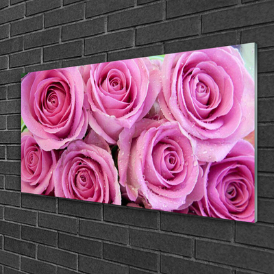 Tablouri acrilice Trandafiri roz Floral