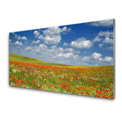 Tablouri acrilice Meadow Flori Peisaj Roșu Alb Verde