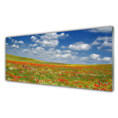 Tablouri acrilice Meadow Flori Peisaj Roșu Alb Verde
