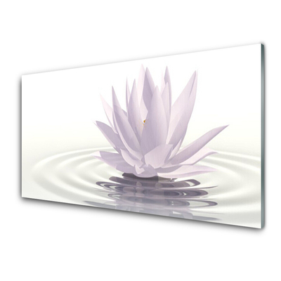 Tablouri acrilice Water Flower Art White