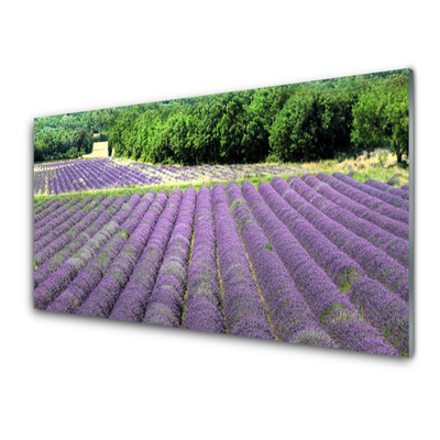 Tablouri acrilice Meadow Flori Natura Verde Violet