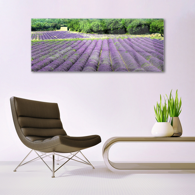 Tablouri acrilice Meadow Flori Natura Verde Violet