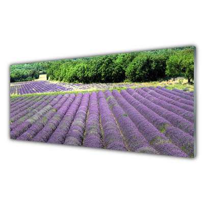 Tablouri acrilice Meadow Flori Natura Verde Violet