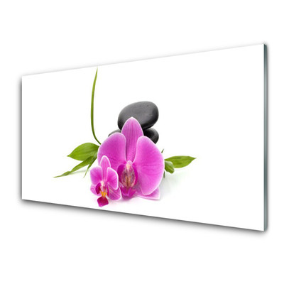 Tablouri acrilice Pietrele florale flori roz negru