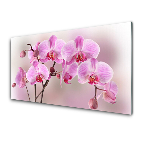 Tablouri acrilice Flori roz Floral