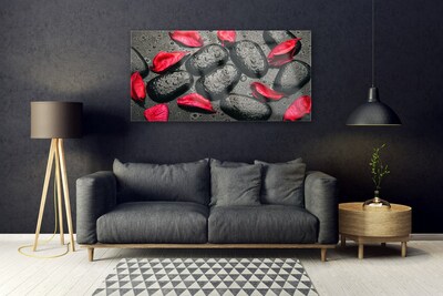 Tablouri acrilice Petale Stones Art Red Gray