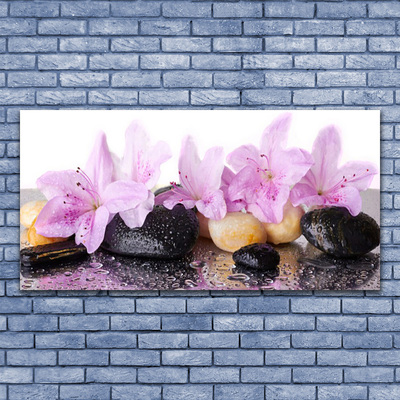 Tablouri acrilice Pietrele florale flori roz negru