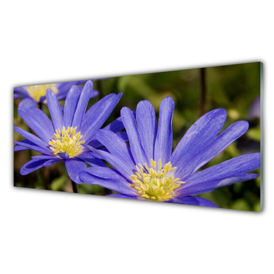 Tablouri acrilice Flori Floral violet