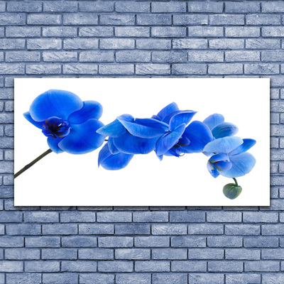 Tablouri acrilice Flower Floral Albastru