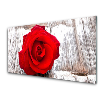Tablouri acrilice Rose Floral Red