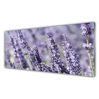 Tablouri acrilice Flori Floral violet