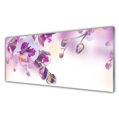 Tablouri acrilice Flori roz Floral