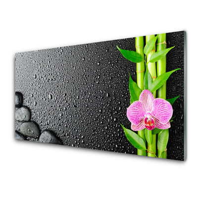 Tablouri acrilice Bamboo Peduncul flori Stones verde florale roz negru