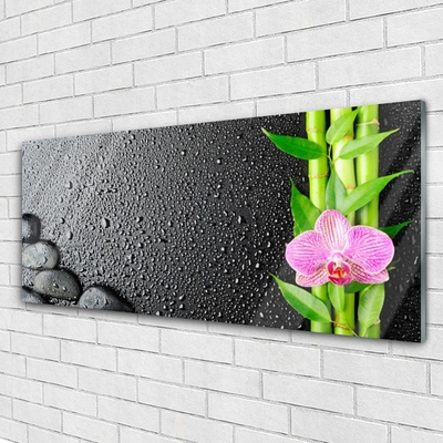 Tablouri acrilice Bamboo Peduncul flori Stones verde florale roz negru