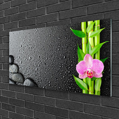 Tablouri acrilice Bamboo Peduncul flori Stones verde florale roz negru