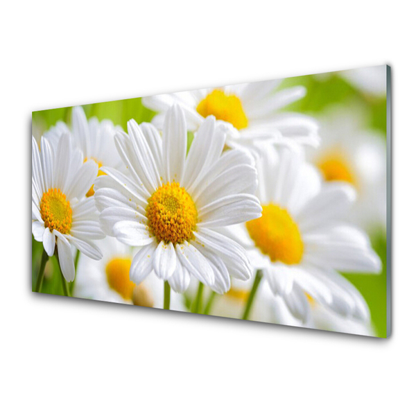 Tablouri acrilice Daisy Floral Galben Alb