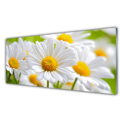 Tablouri acrilice Daisy Floral Galben Alb