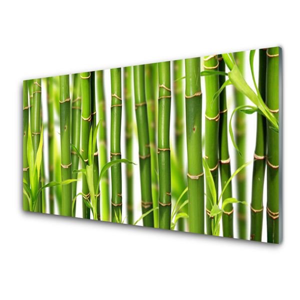 Tablouri acrilice Bamboo Tulpini Floral Verde