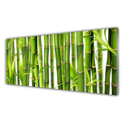 Tablouri acrilice Bamboo Tulpini Floral Verde