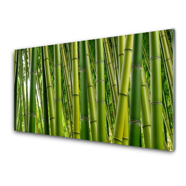 Tablouri acrilice Bamboo Tulpini Floral Verde