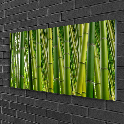 Tablouri acrilice Bamboo Tulpini Floral Verde