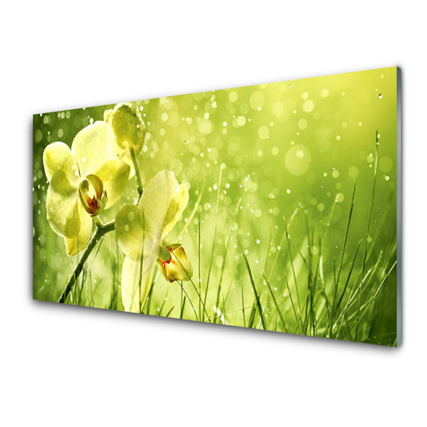 Tablouri acrilice Iarbă Flori Floral Verde