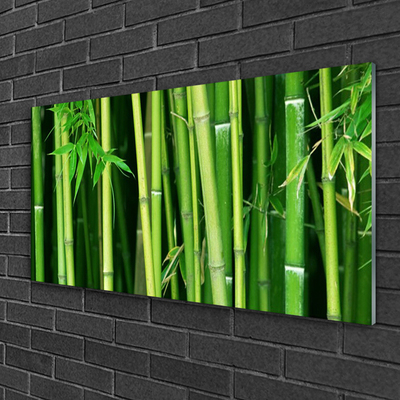 Tablouri acrilice Bamboo Tulpini Floral Verde