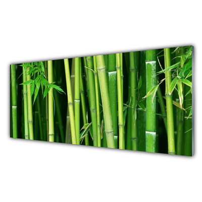 Tablouri acrilice Bamboo Tulpini Floral Verde