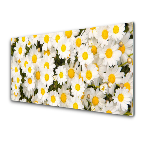 Tablouri acrilice Daisy Floral Galben Alb