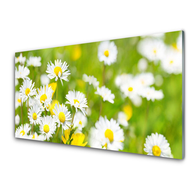 Tablouri acrilice Daisy Floral Galben Alb