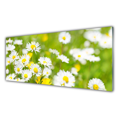 Tablouri acrilice Daisy Floral Galben Alb