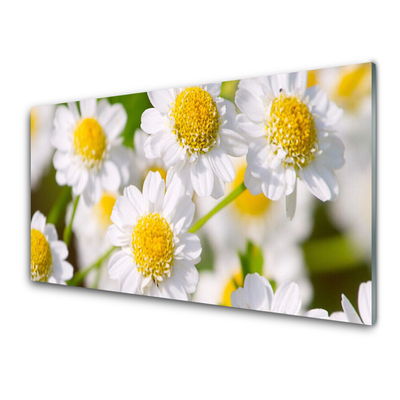 Tablouri acrilice Daisy Floral Galben Alb