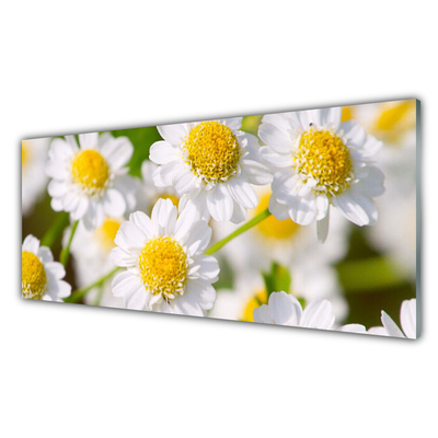 Tablouri acrilice Daisy Floral Galben Alb