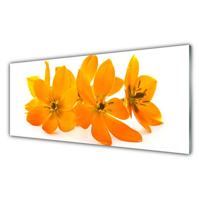 Panou sticla bucatarie Flori Floral Orange