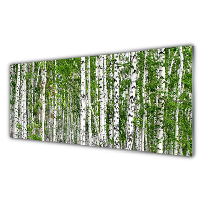 Panou sticla bucatarie Birch Forest Copaci Natura Verde Alb