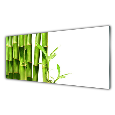 Panou sticla bucatarie Bamboo Floral Verde Alb
