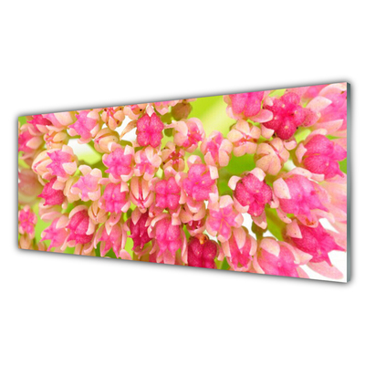 Panou sticla bucatarie Floare roz Floral