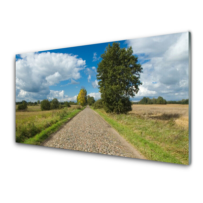 Panou sticla bucatarie Tara Road Pavaje Peisaj Verde Albastru