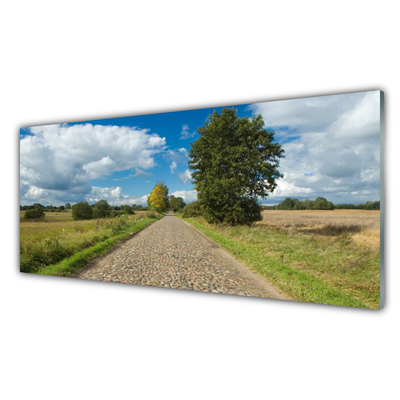 Panou sticla bucatarie Tara Road Pavaje Peisaj Verde Albastru