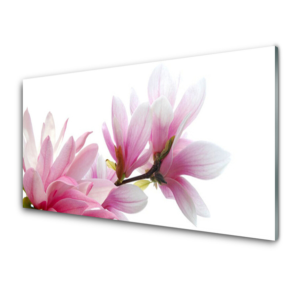 Panou sticla bucatarie Magnolia Blossoms Floral roz