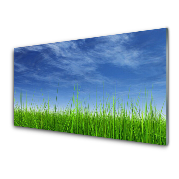 Panou sticla bucatarie Sky Grass Nature Albastru Verde