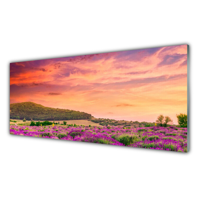 Panou sticla bucatarie Meadow Flori Peisaj Purple Verde Roz