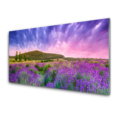 Panou sticla bucatarie Meadow Munții Flori Natura Verde Violet Albastru Roz